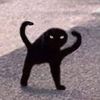 wut.cat