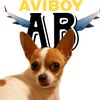 Aviboy