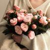 mariyam_30.m