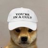 buydogwifhat