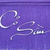 chantroixa