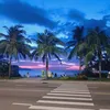 vinhquoc19