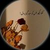 babarjavaid12
