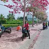 tuantrung11.11