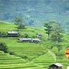 chonbinhyen0107