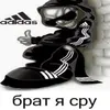 udindindivdd
