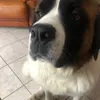 milya_fr