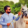 moazzeeshan