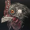 bantyrooster7