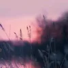 esmee_w01