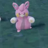 pokoooochaan