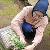 desmi2112