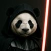 panda_god07