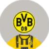 bvb_09_roza