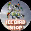 iee_bird_shop