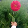 ayoewanna_be