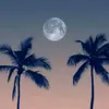 zsfvhj