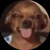 meezina