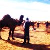 musmad87
