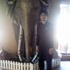 diamondbuddhistbuddhist0