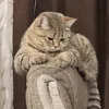 0_maus_0