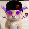 raihann351