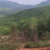 _trinhvuong89_