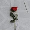 .jesshar