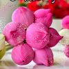 muthuz8318