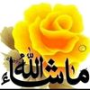 shohelhossain35