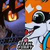 cookiefox97
