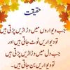 user010041527