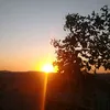 camilaccandido_