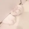 nyanmeow_x