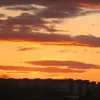 danipauly_977