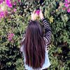 miri_amc