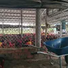 khanhtuong251996