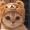saulitude_