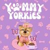 Yummy Yorkies🐾