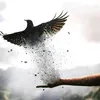 user18305802