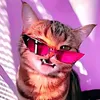 criticalfox23