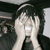 44dnish_