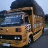 dadimulyotrans