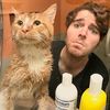 shane_dawsons_cat_