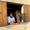 عِزي الشريف 🐎