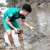 Cần Tiến