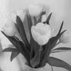 _jxst_marleen