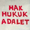 dileknurdilbaz6