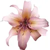 user110303013