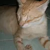 laylayffy